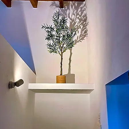 Herdade Da Corte ホテル 3*